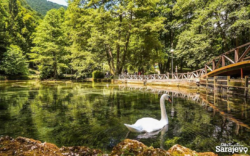 Vrelo Bosne