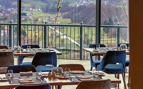 Tarčin Forest Resort & Spa - Tarčin - Restoran-Bar